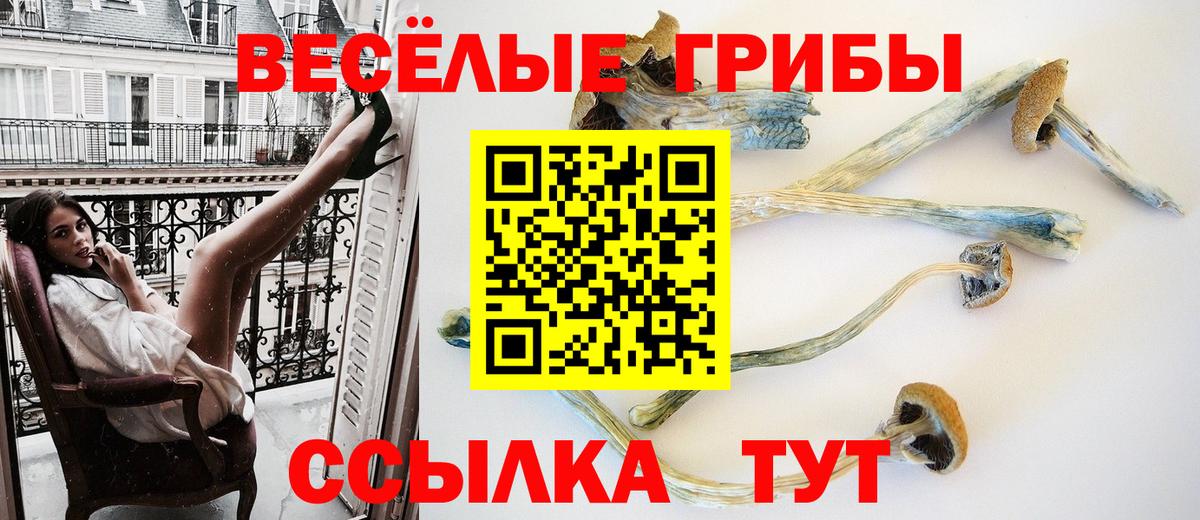 Псилоцибиновые грибы прущие грибы  Вход с VPN  Камышин 