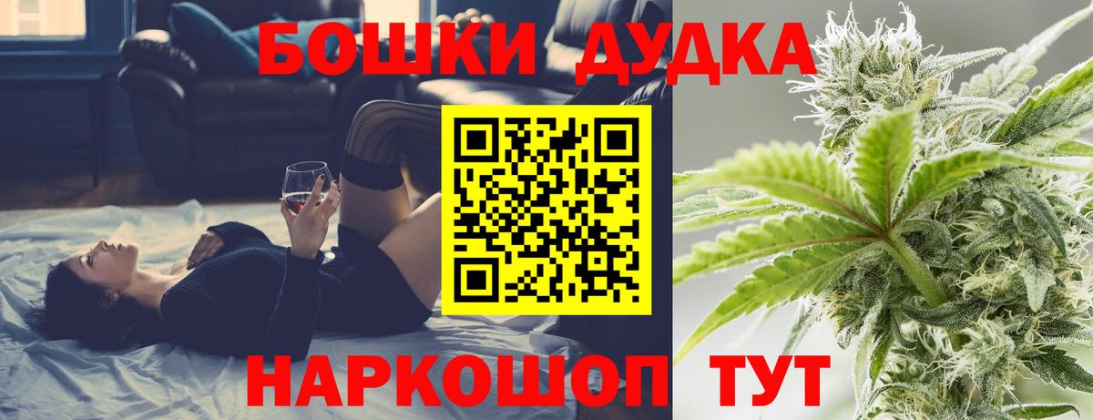 Бошки Шишки план Камышин